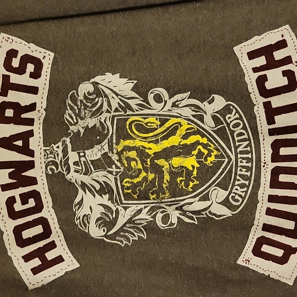 Warner Bros. Gryffindor Quidditch Kids T-Shirt - Gray Size Large - Picture 2 of 8